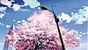 Sakura Tree cherry blossoms sakura petals sakura tree cherry blossom petals petals light pole an